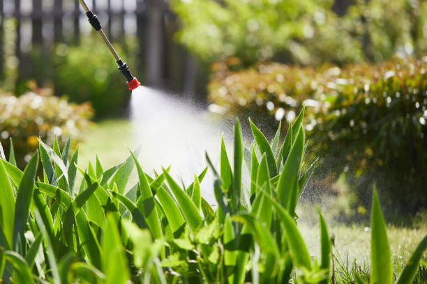24/7 Emergency Wasp Removal experts in Waynesboro, GA