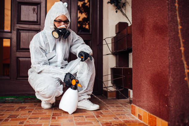 Reliable Wasp Removal contractor in Waynesboro, GA by Show Me Pest Control